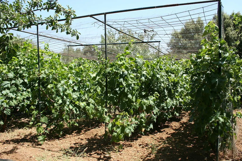 El Merendero Villa Ronda